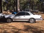 1988 Ford Thunderbird