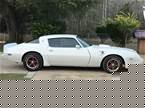 1979 Pontiac Trans Am 