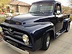 1955 Ford F100
