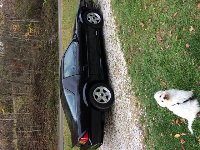 1992 Chevrolet Camaro