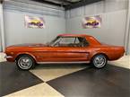 1966 Ford Mustang