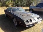 1979 Pontiac Firebird 