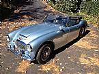 1963 Austin Healey 3000