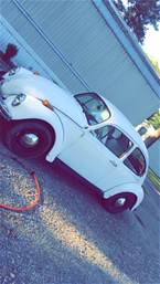 1973 Volkswagen Beetle 