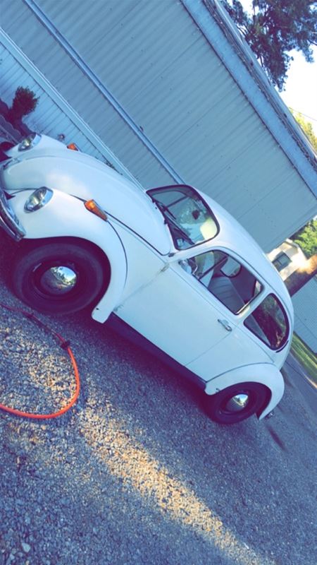 1973 Volkswagen Beetle