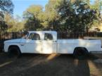 1965 Dodge D200 