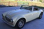 1984 Austin Healey 3000