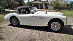 1959 Austin Healey 100 