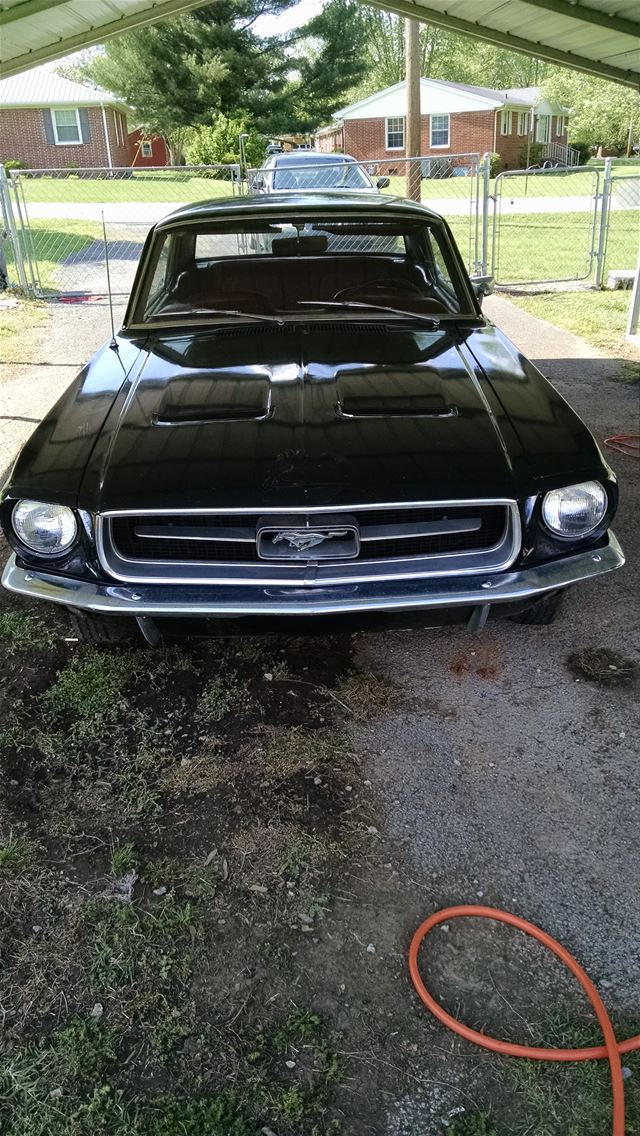 1967 Ford Mustang