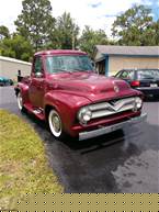1955 Ford F100