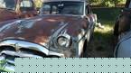 1954 Packard Patrician