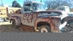 1955 Ford F100