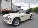 1967 Austin Healey MK3