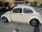 1966 Volkswagen Beetle