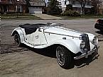 1955 MG TF