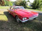 1965 Ford Thunderbird