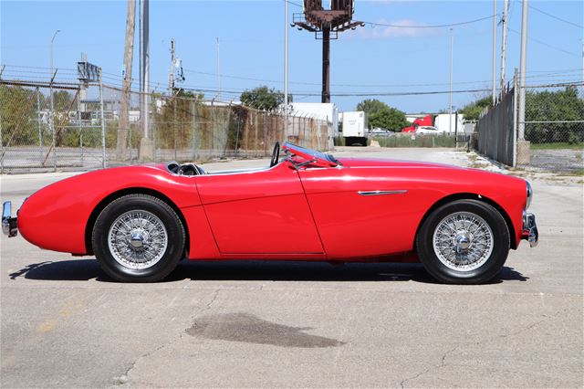 1954 Austin Healey 100