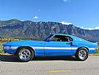 1969 Shelby GT500