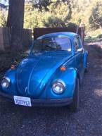 1971 Volkswagen Beetle 