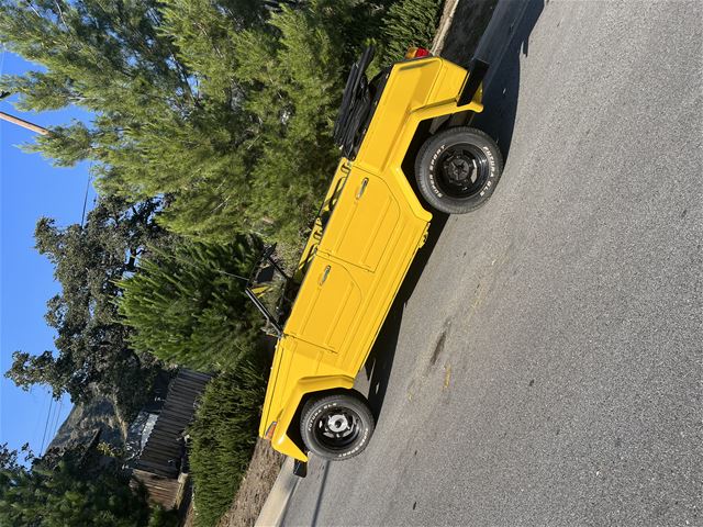 1974 Volkswagen Thing