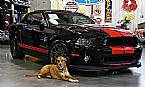 2014 Ford Shelby