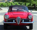 1964 Alfa Romeo Giulia Spider 