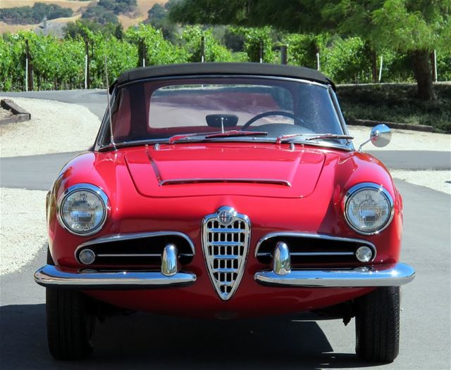 1964 Alfa Romeo Giulia Spider