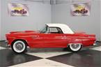 1955 Ford Thunderbird