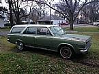 1966 Rambler American