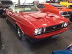 1973  Ford Mustang
