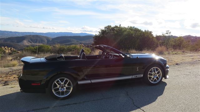 2007 Ford Shelby for sale