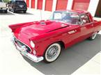 1955 Ford Thunderbird
