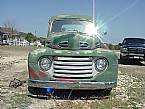 1950 Ford F1