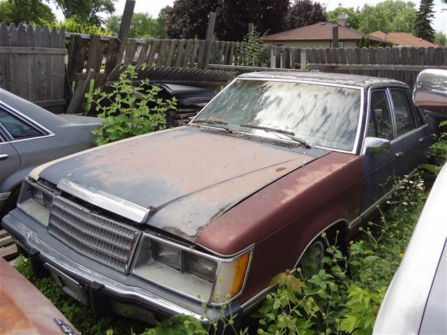 1984 Ford Midsize for sale