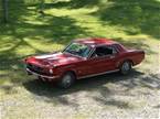 1966 Ford Mustang 