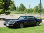 1979 Pontiac Trans Am