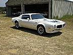 1973 Pontiac Trans Am