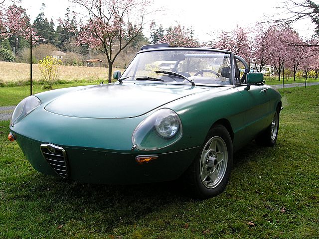 1969 Alfa Romeo Gulia for sale