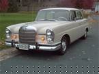 1966 Mercedes 230S