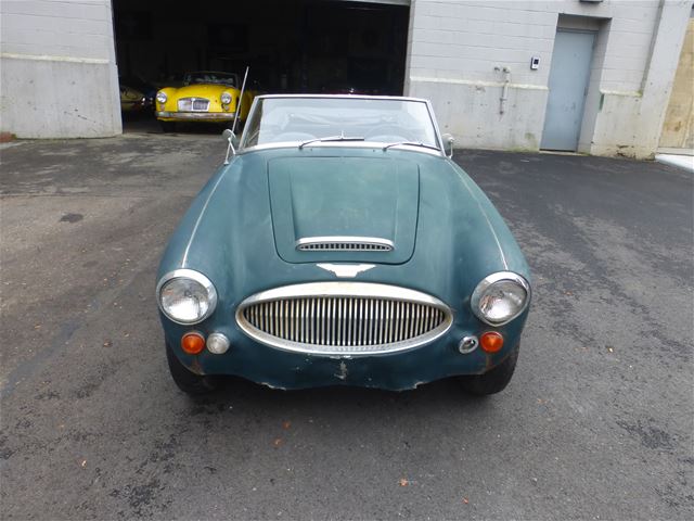 1967 Austin Healey 3000