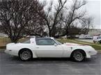 1980 Pontiac Trans Am