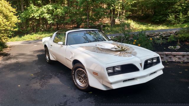 1981 Pontiac Firebird