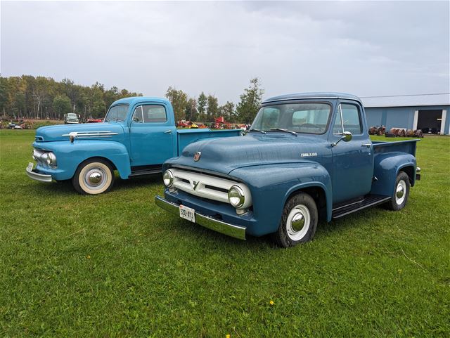 1952 Ford F100