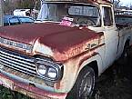 1959 Ford F100