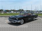 1959 Ford Thunderbird