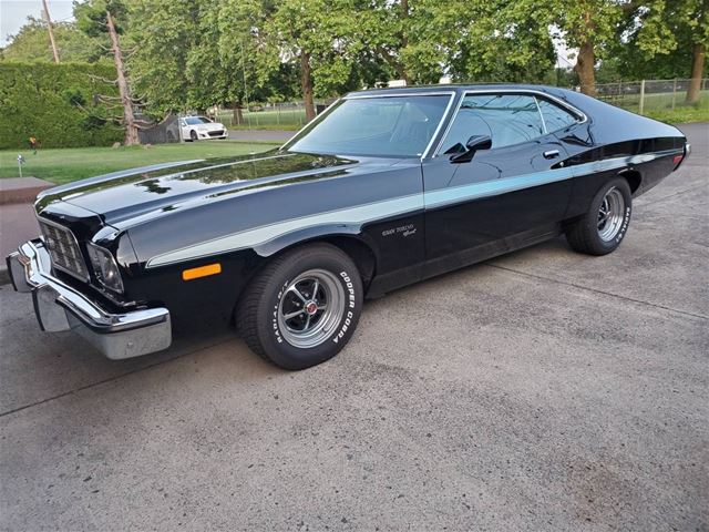 1973 Ford Torino for sale