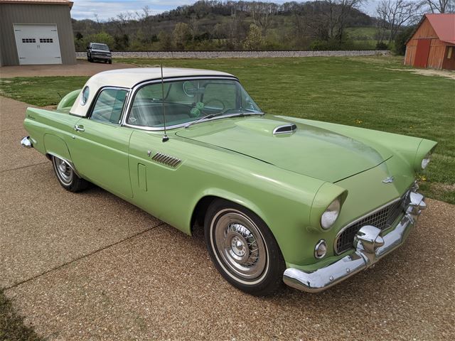 1956 Ford Thunderbird for sale