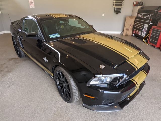2012 Ford Shelby for sale