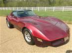 1981 Chevrolet Corvette