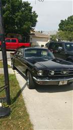 1966 Ford Mustang 